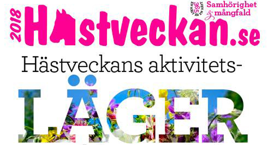 Grafisk bild hästveckans aktivitetsläger