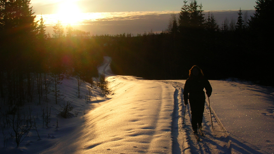 Underbara vinter.