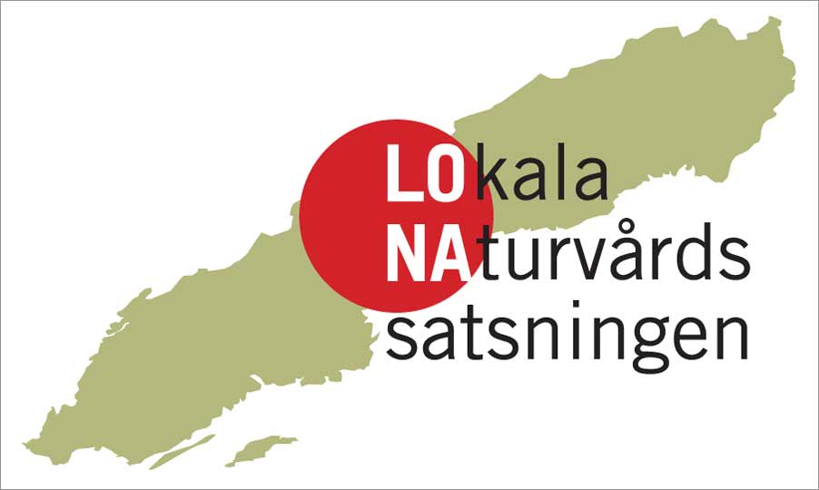 lona-logo.jpg