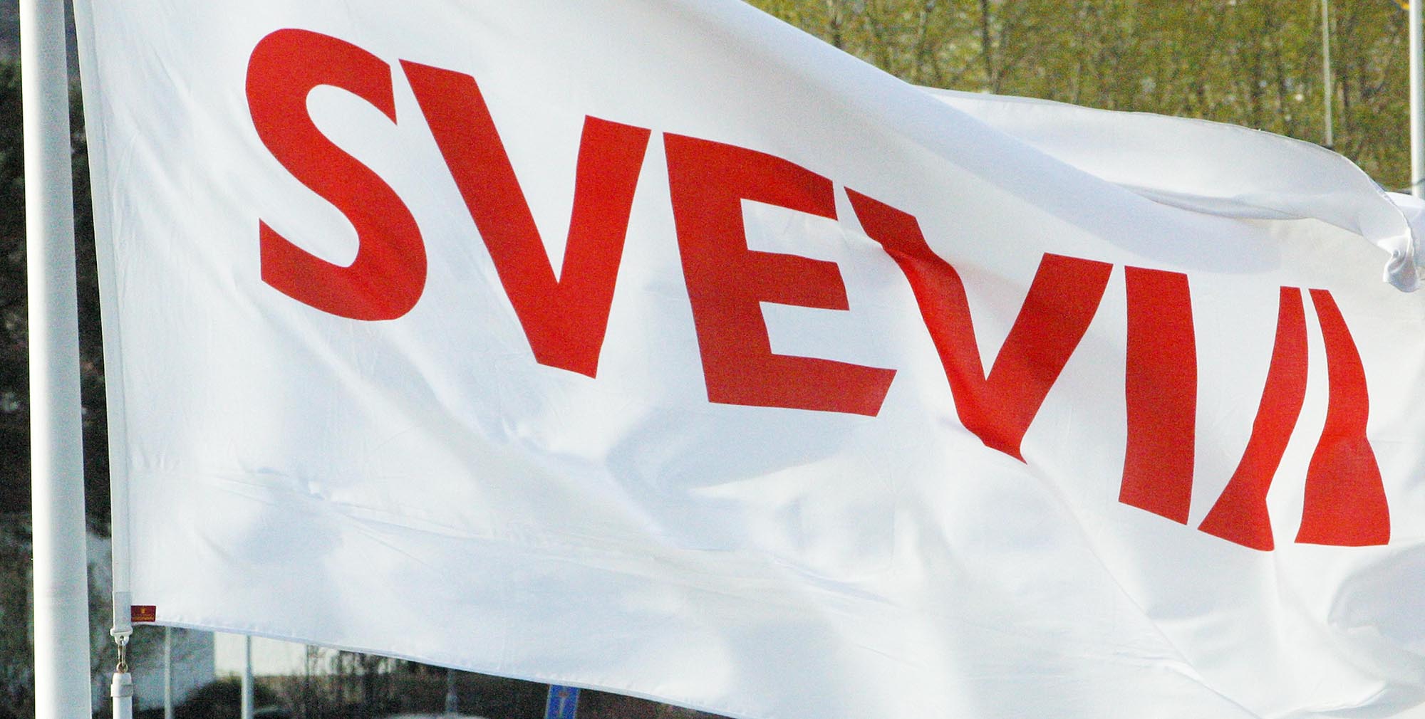 Bild på Svevias flagga