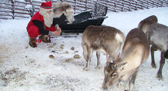 Tomte med ren