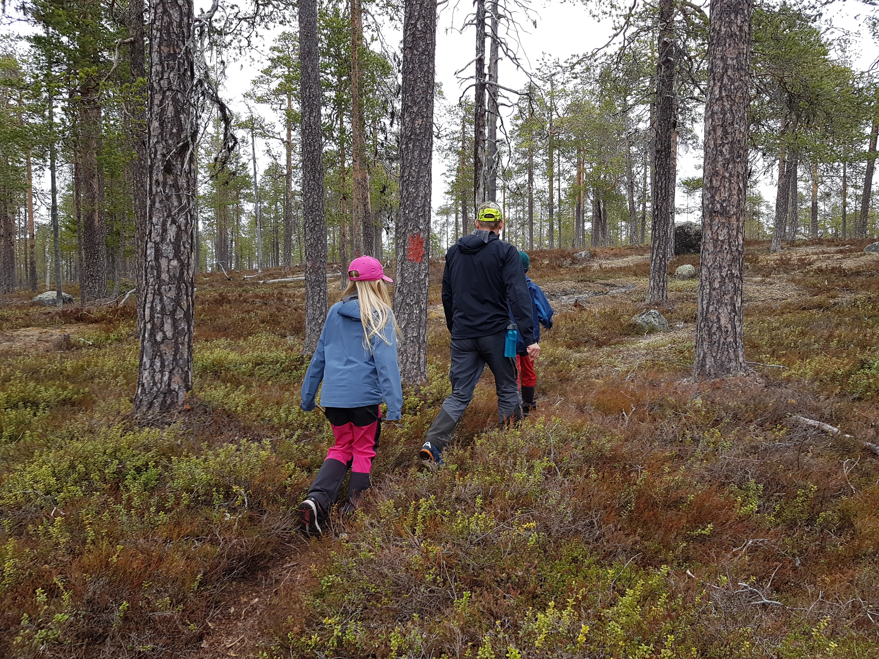 Barn och man på skogsstig