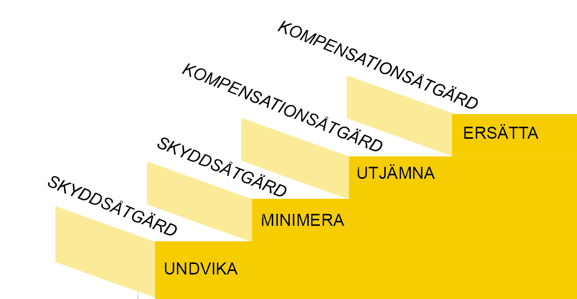 Kompensationstrappa som redovisar hur man kan arbeta med skadelindringshierarkin