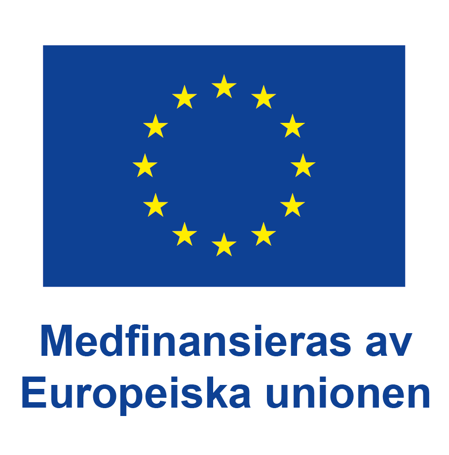 SV-V-Medfinansieras-av-Europeiska-unionen_POS_POS.png