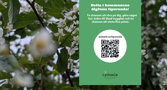 Blommor med en grön ruta om tipsrundan på