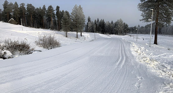 Bild på en del av konstsnöspåret på Tannberget