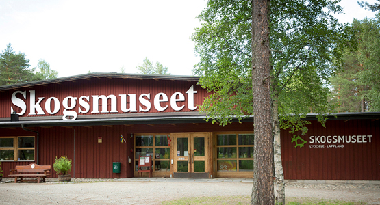 Bild på Skogs- och samemuseet