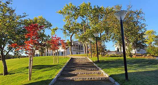 Höstfärger parken renen.jpg