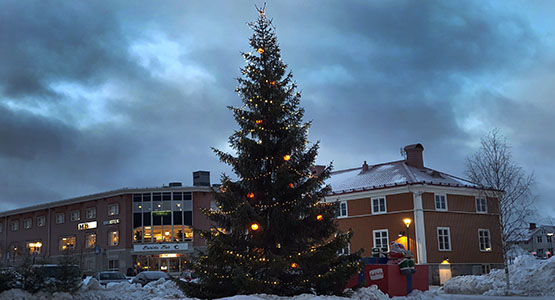 Julgran 2024.jpg