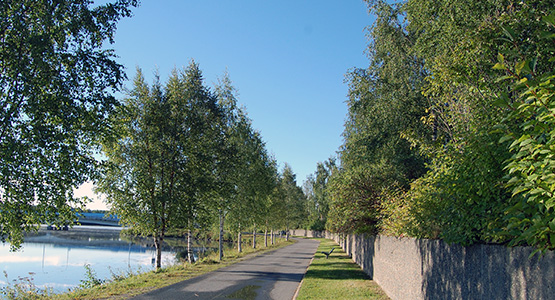 Bild på cykelväg vid Umeälven