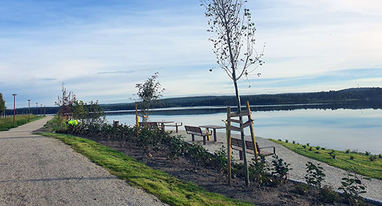 Plantering Strandpromenaden.jpg