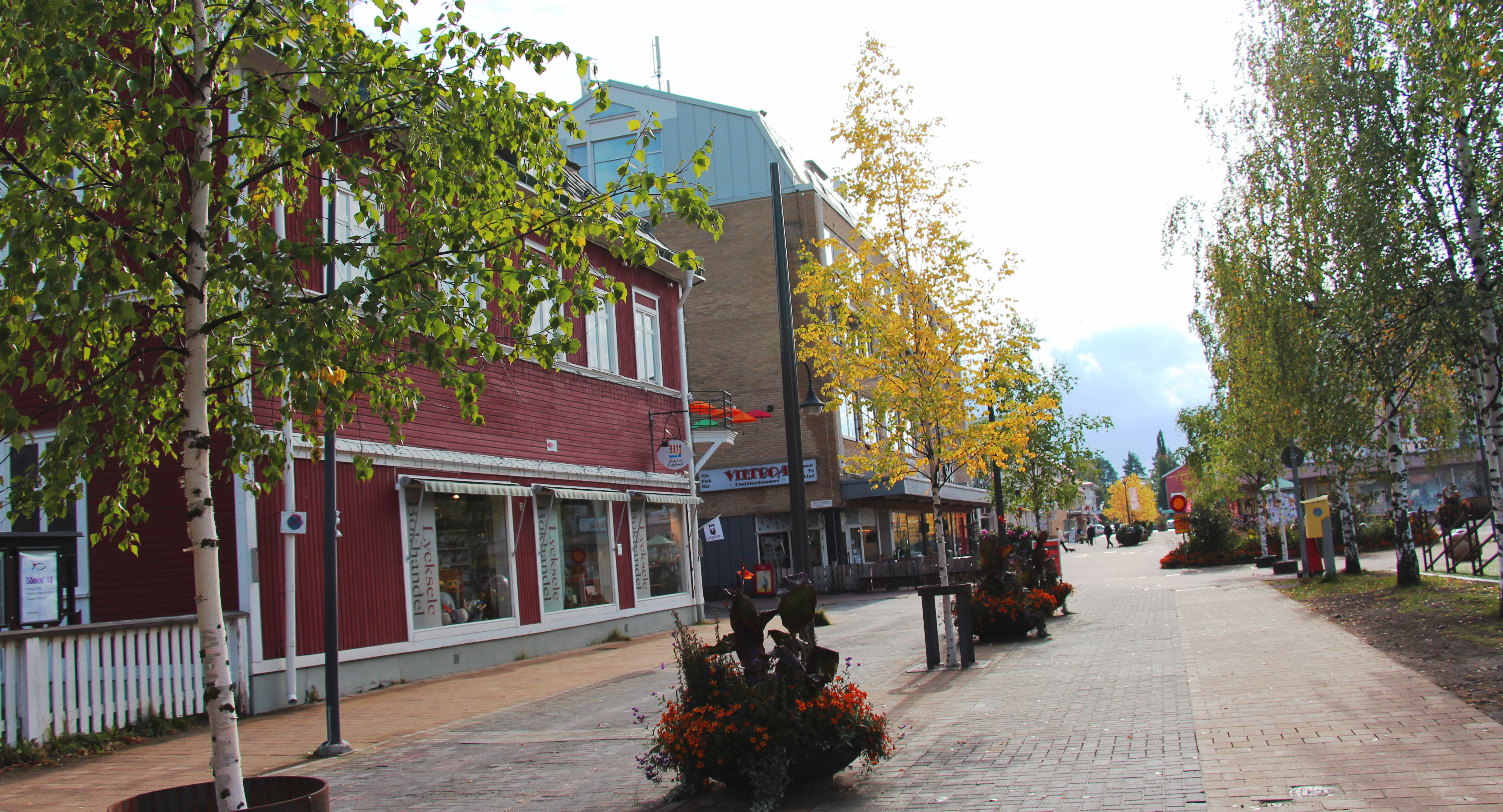 Gågatan Lycksele