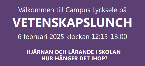 Bild på text om lunchen