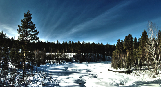 Foto på en frusen älv