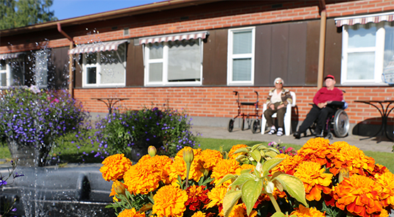 Utemiljön vid Skytten, blommor i förgrunden och en fontän 