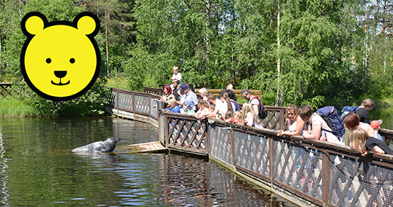 Flera djurparksbesökare tittar på säl