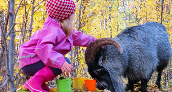 Andelen barn i åldern 1-5 år är högre i Lycksele än genomsnittet i landet. 