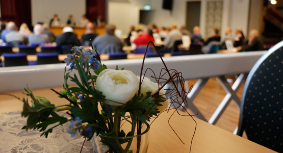 Blomma i förgrunden och kommunfullmäktige i suddigt i bakgrunden. 