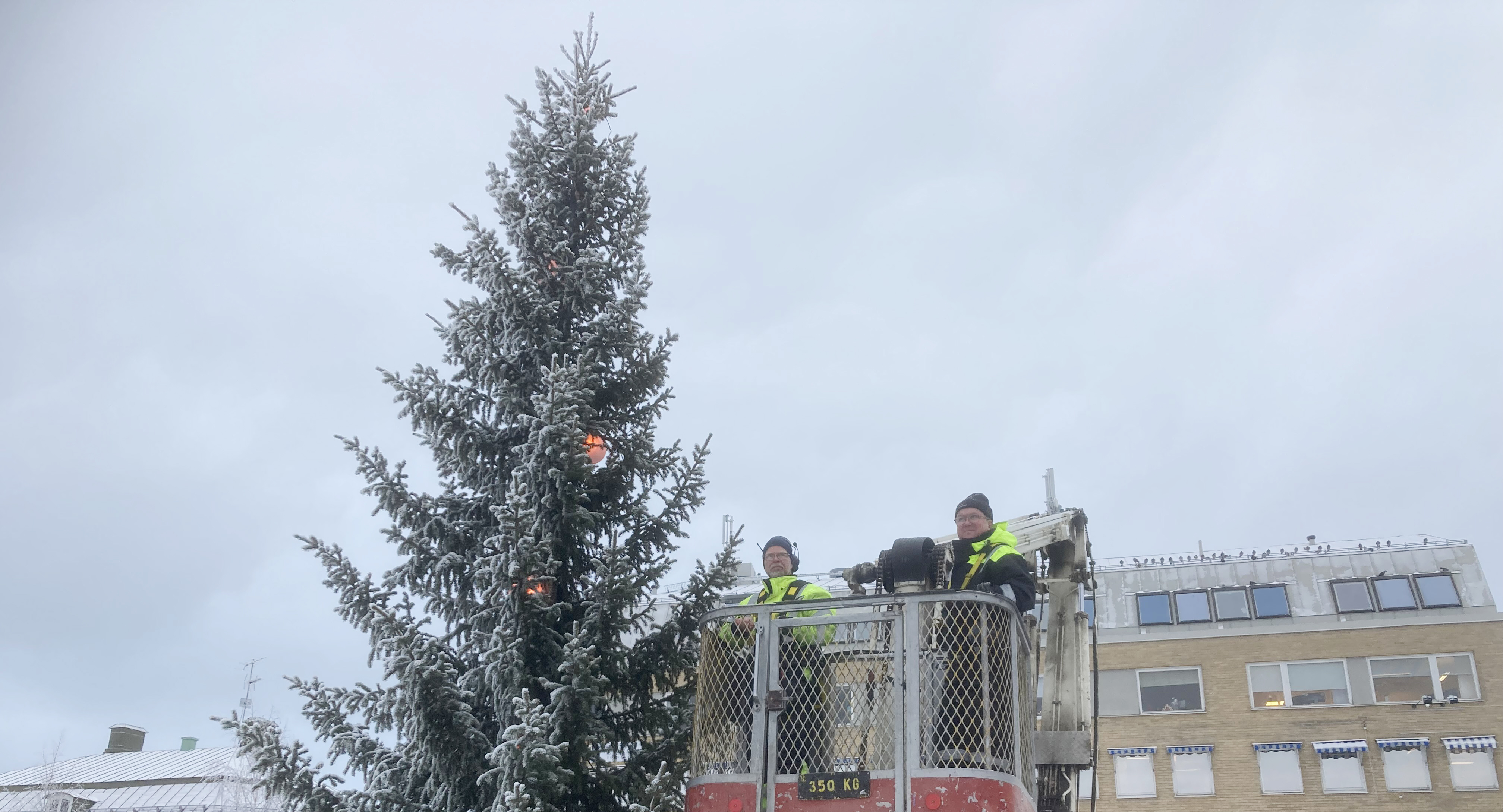 Bild på julgranen på torget