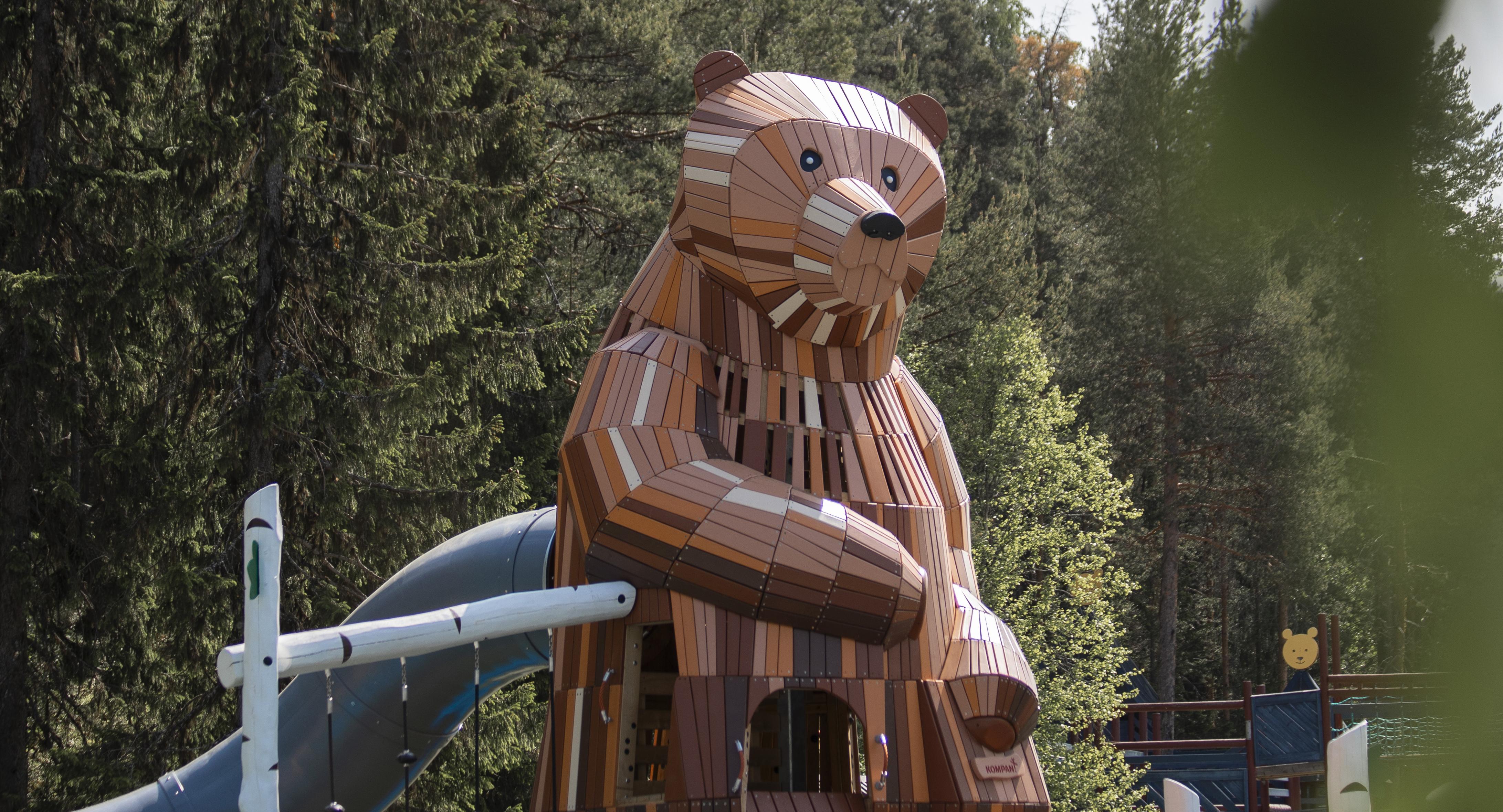 bild på en björn djurparken