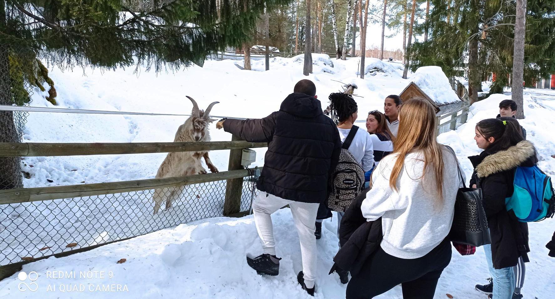 Elever besöker djurpark