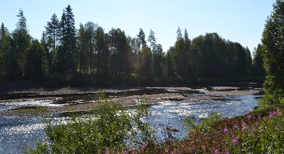 Sommarfoto av älv