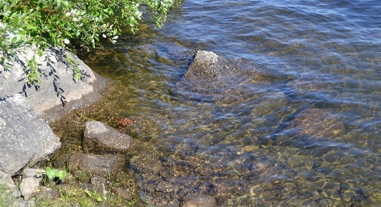 Stenar i vattnet