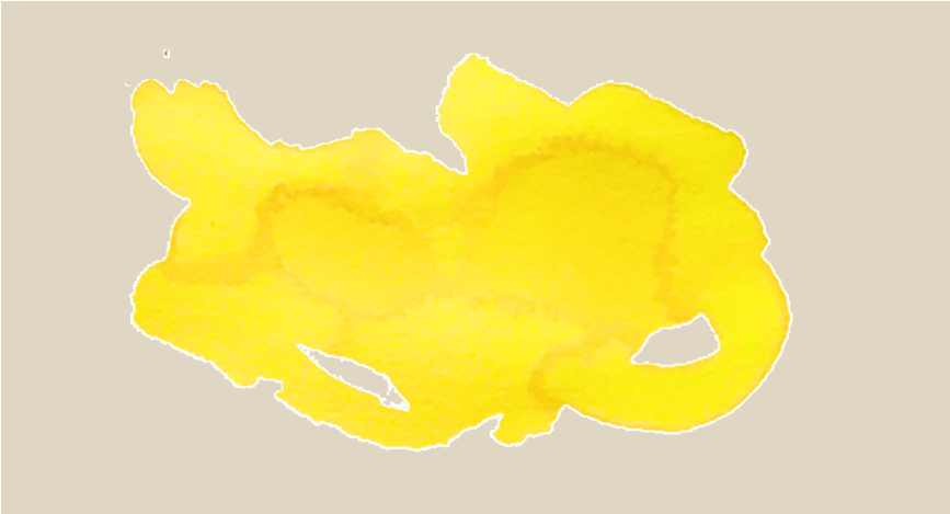Bild på gul krumilur med beige bakgrund