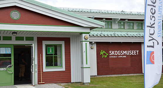 Bild på Skogsmuseet i Lycksele.